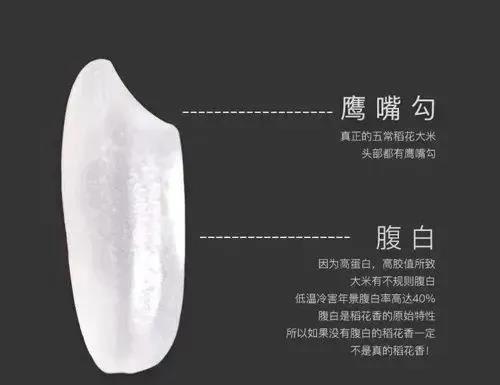 微信图片_20200629171303.jpg